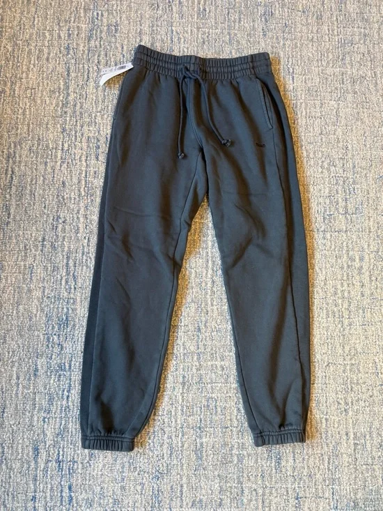 NWT Aritzia Dark Gray Cropped Hoodie & Jogger Sweat Set - Picture 5 of 7